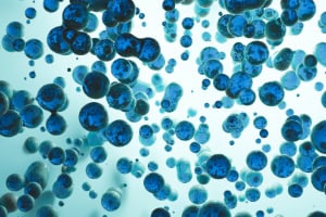 particles in liquid
