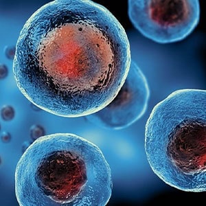 Stem Cell Therapy Sterility Assurance Guidelines on Good Manufacturing Practice in Advanced Therapy Medicinal Products